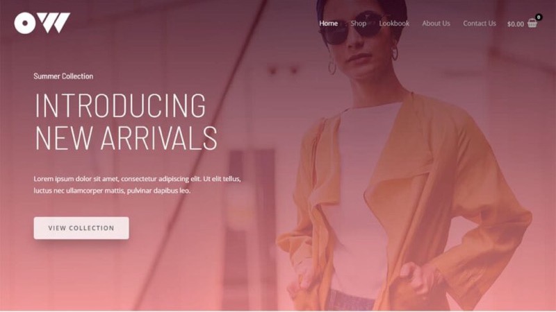 Design Brandstore Pro