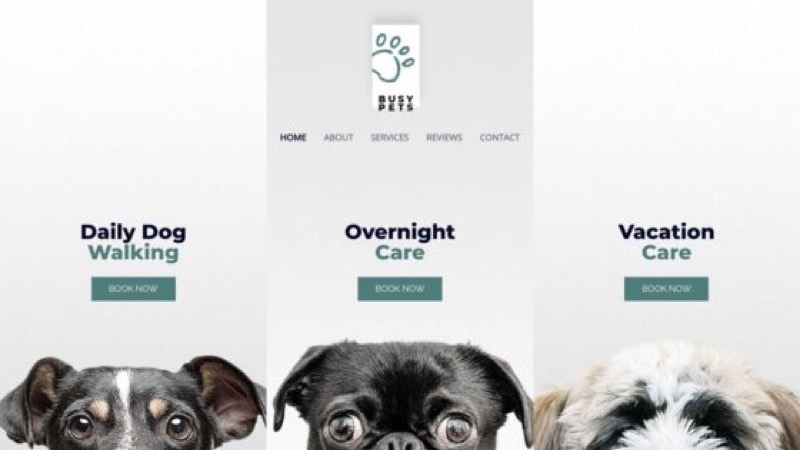 Design Hundehotel