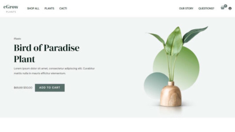 Design Online Shop