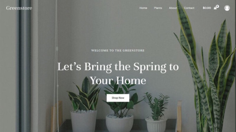 Design Pflanzen Shop