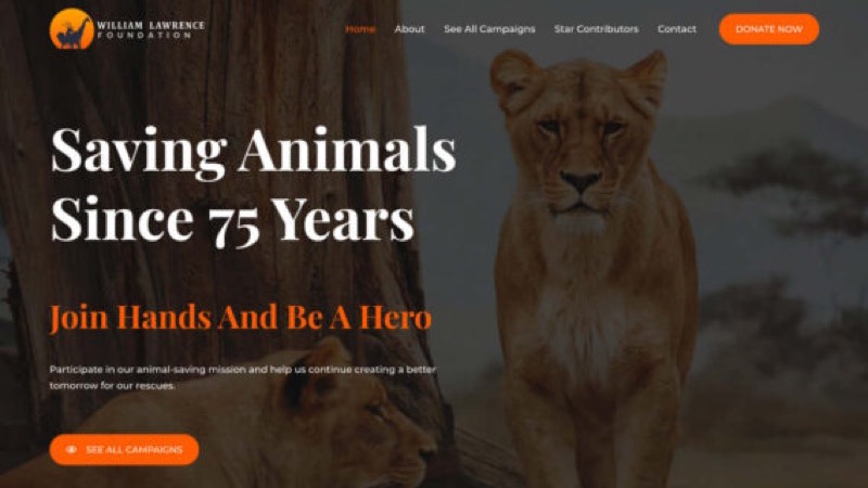 Design Tierschutz