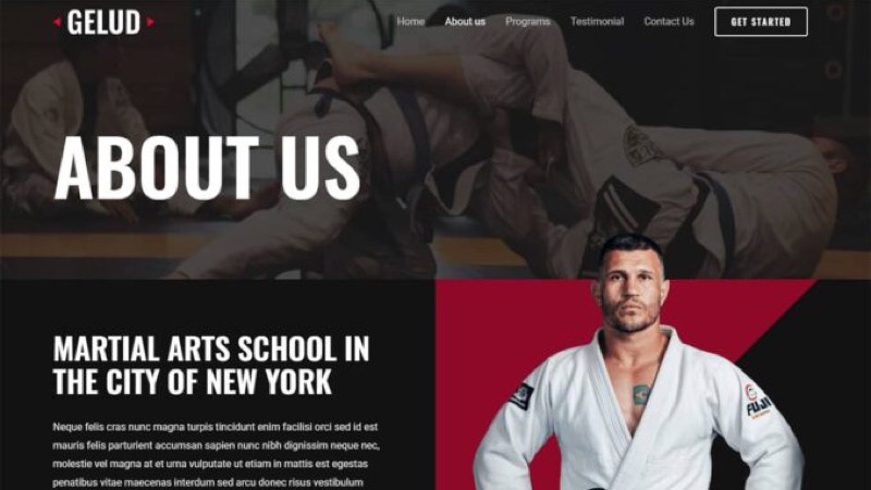 Design Website für Kampfsportschule