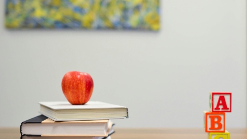 Design Website für Schulen